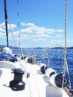 ad boats salona 45 5