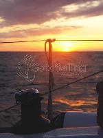 ad boats salona 45 6