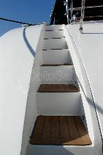 leopard leopard 24 41