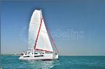 catana catana 47 1