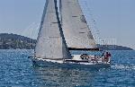 ad boats salona 44 performance 19