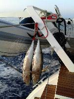 lagoon beneteau lagoon 52 f 13