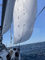 freebe Hanse 460