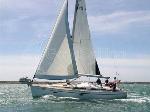 Ruck Zuck Bavaria Cruiser 40