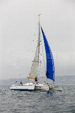 custom made dragonfly 35 6