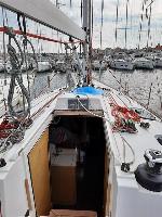 Sierra Elan 350 Performance