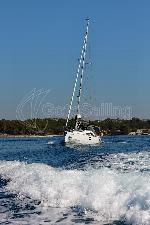 Black Panther Elan Impression 40