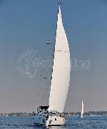 Luna Elan Impression 45.1