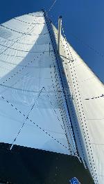 Dream of Liberty Lagoon 42