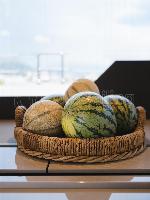 SWEET DREAMS Sunreef 50