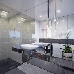 Black Swan MS Custom Line