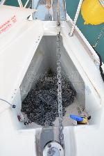 Babis 2010   Sun Odyssey 36i