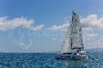 Oblivion Planet Dufour 48 Catamaran