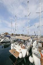 Polly Fun Sun Odyssey 349