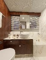 monachus monachus 70 fly 1