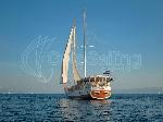 custom made neptun 42