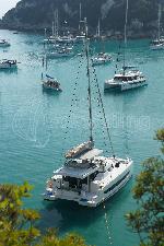 Selene Bali Catspace