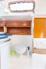 Venus Bavaria Cruiser 46