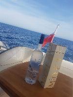 custom made princess f43 5