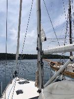 Laali Elan Impression 40