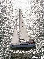 Anastasia Sun Odyssey 349