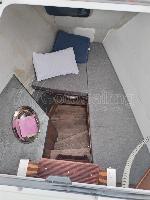 Roza Deflores 2 Bavaria C50