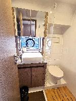 Tireless Sealine C390