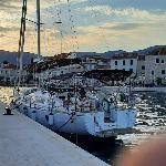 Tamikaya Elan Impression 40.1