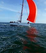 GREENGO 2 Pogo 12.50