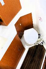 Amaryllis Bavaria C45