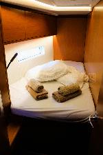 Amaryllis Bavaria C45