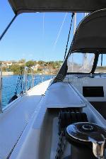 Amaryllis Bavaria C45