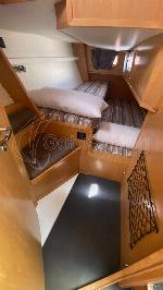 Wasabi Fast Cruiser 42