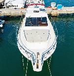 sas vektor vektor 950 8