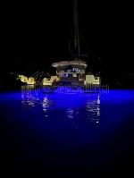 Reve De Vie Bali Catspace