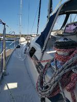 Sea King Bavaria Cruiser 42