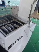 Enya Elan Impression 45.1