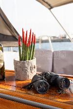 Marlo Bavaria Cruiser 37