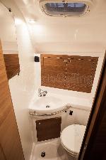 Baby Shark Elan Impression 40.1