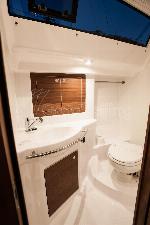 Baby Shark Elan Impression 40.1