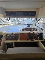 Carpe Diem  Princess 480