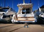 Little One Sealine F34
