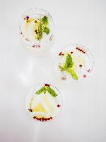 SOLITAIRE Sunreef 50