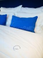 SOLITAIRE Sunreef 50