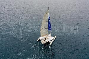 custom made dragonfly 35