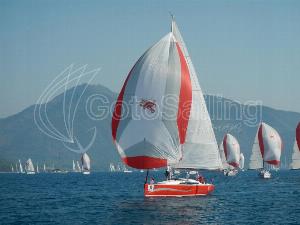 ad boats salona 41