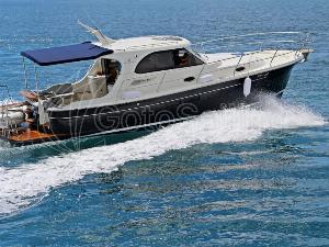 sas vektor adriana 36