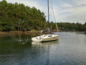 pogo structures pogo 36