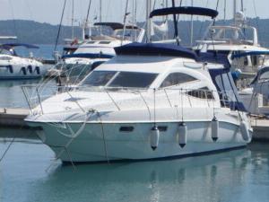 sealine sealine f34